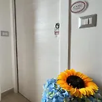 Il Tempio Di Giove 4*